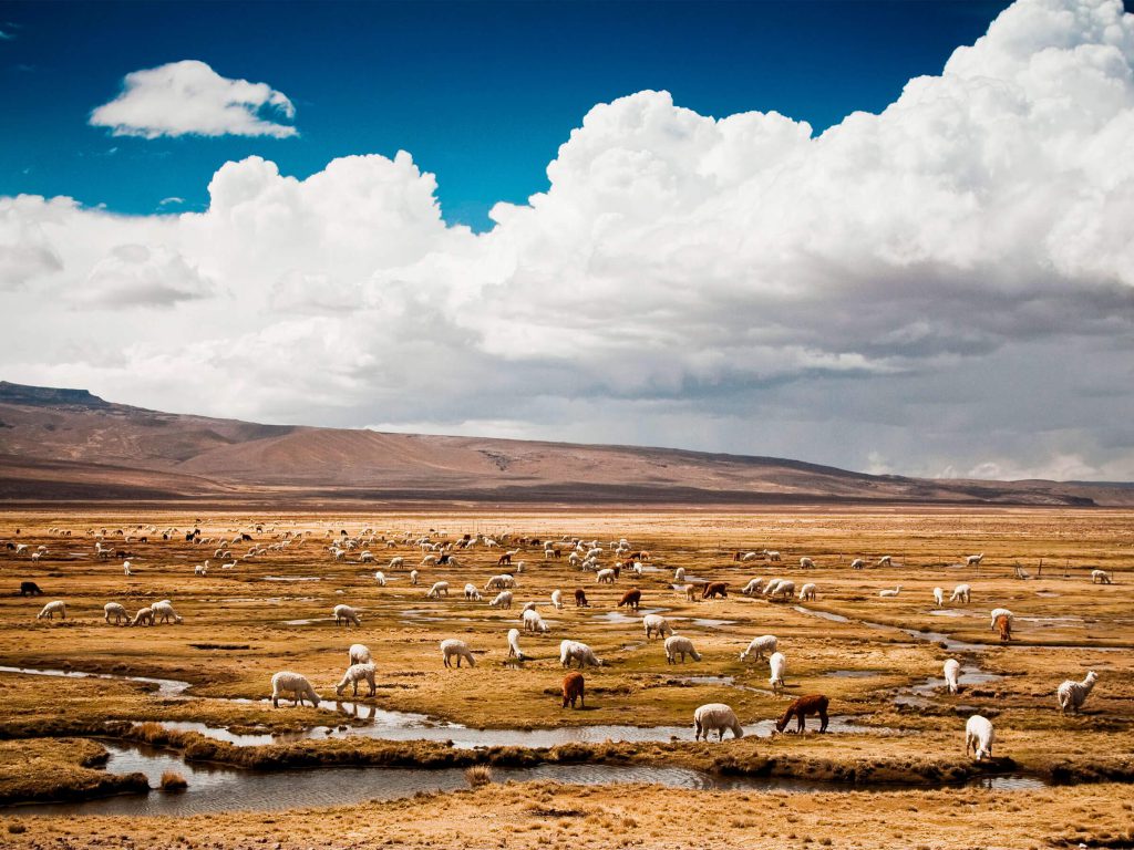 Cañón del Colca Tours Arequipa 4 Días – 4