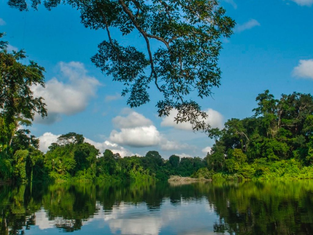 Calm oxbow lake in Manu reflecting the rainforest and a blue sky with clouds