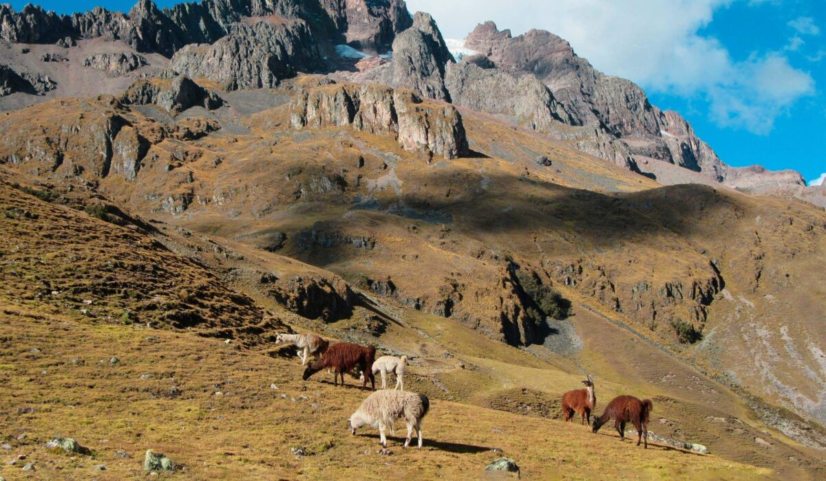 Caminata a Lares Machu Picchu 4 Días / 3 Noches