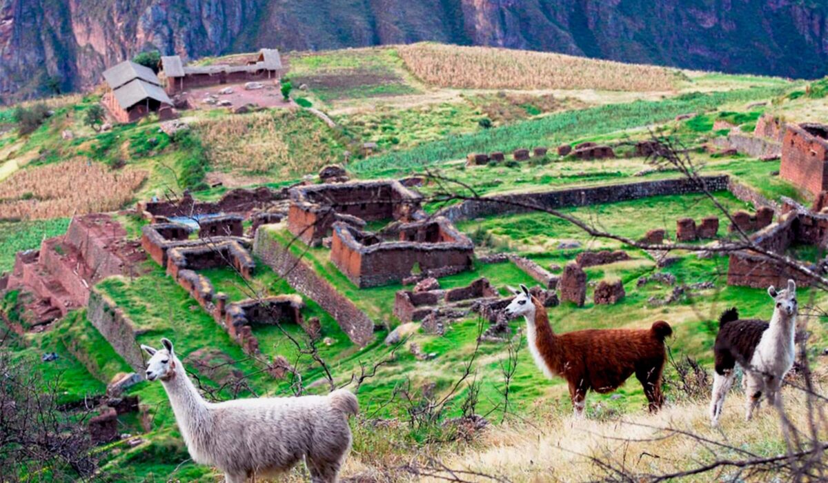 Huchuy Qosqo+Machupicchu 3 Días / 2 Noches