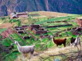 Huchuy Qosqo+Machupicchu 3 Días / 2 Noches