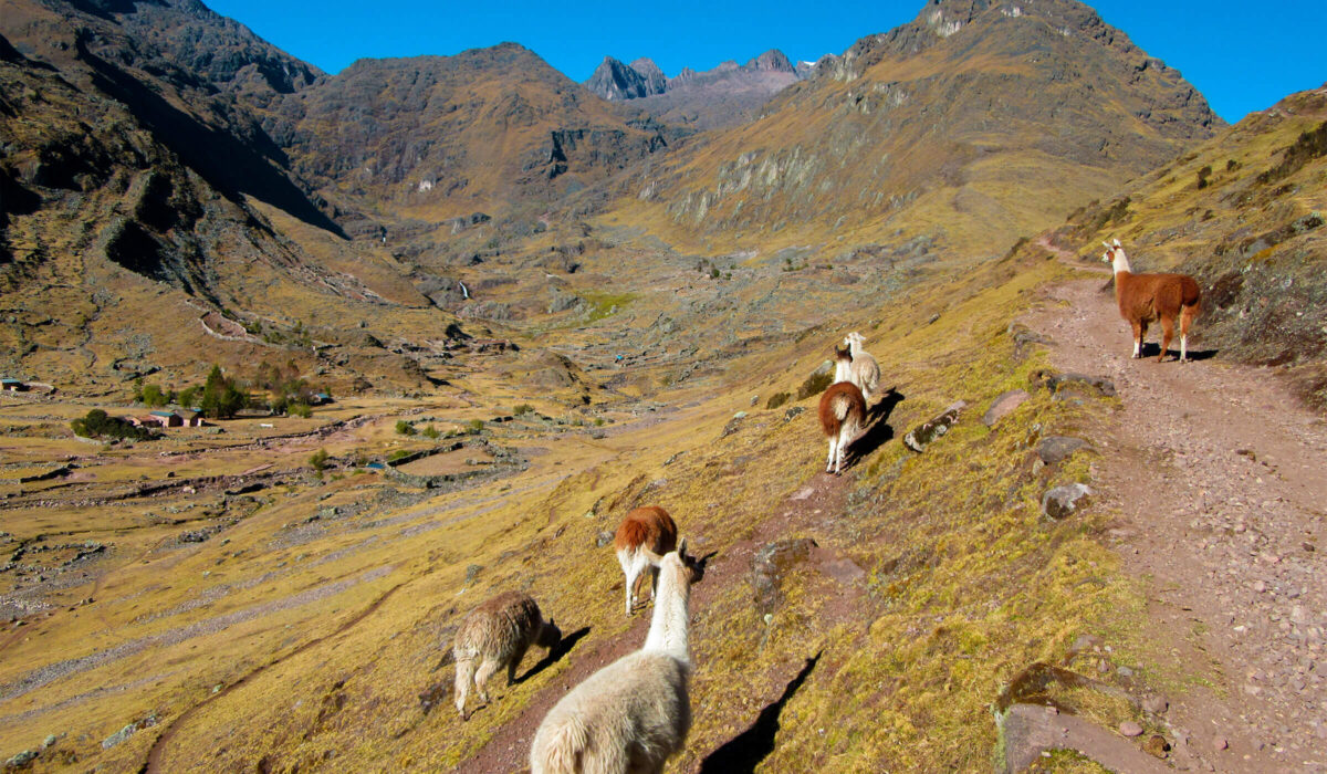 Caminata a Lares Machu Picchu 4 Días / 3 Noches