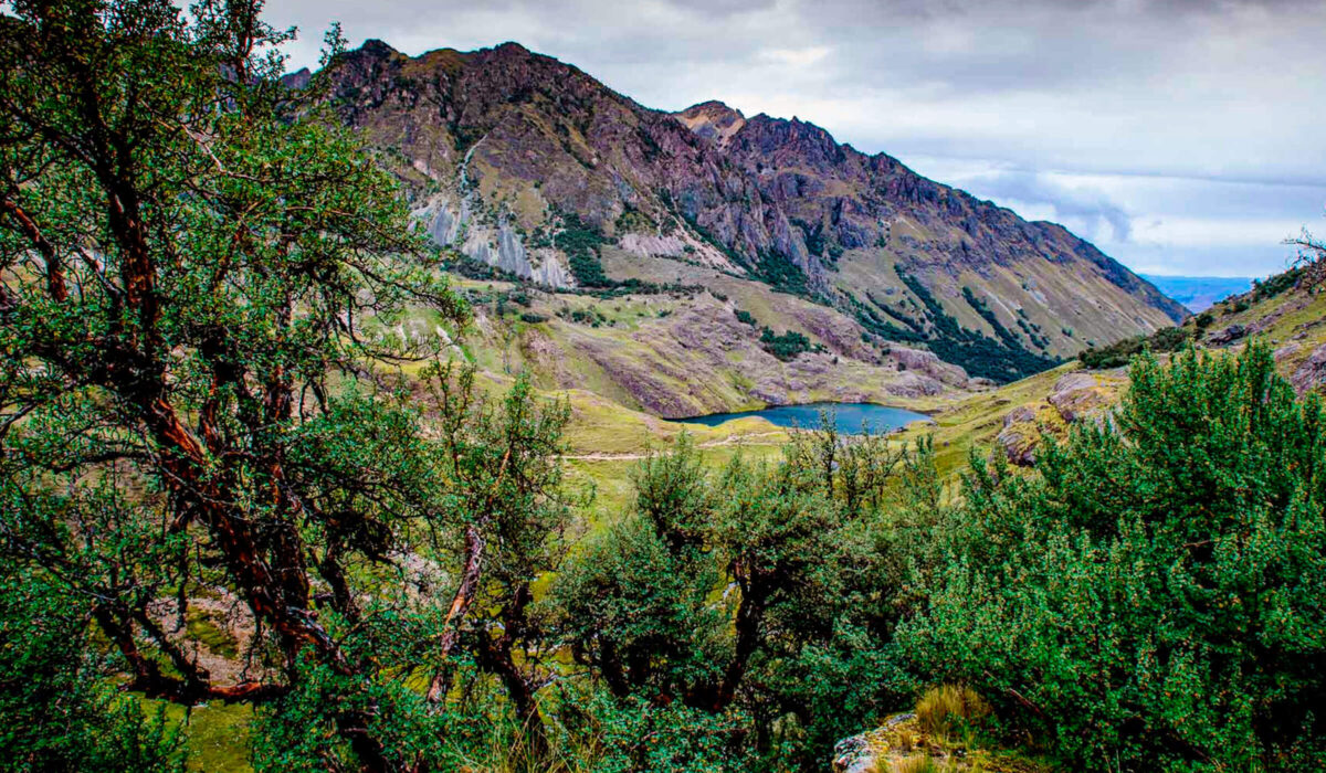 Caminata a Lares & Camino Inca Corto a Machu Picchu 6 Días