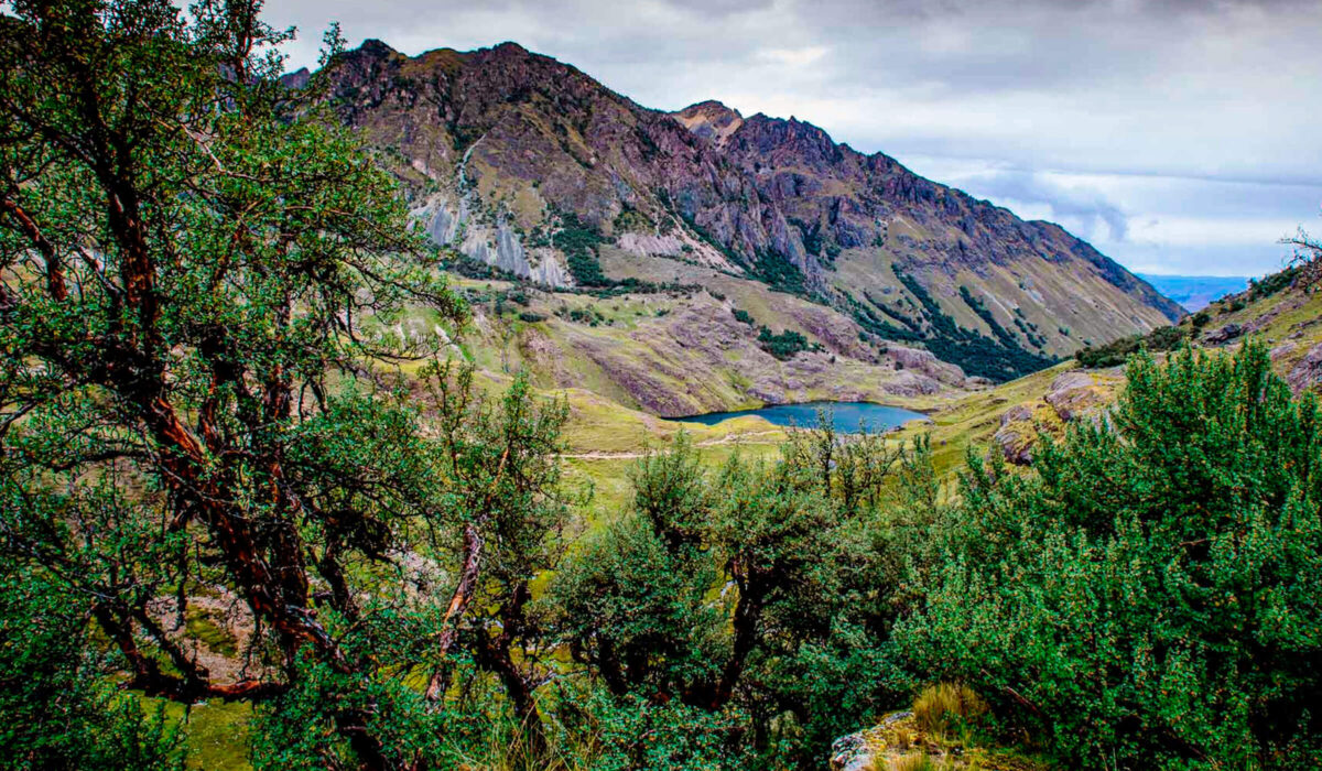 Caminata al Lares 3 Días / 2 Noches