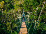 Trek Salkantay + Expediciones en la Selva + Tour Lago Titicaca 14 Días / 13 Noches