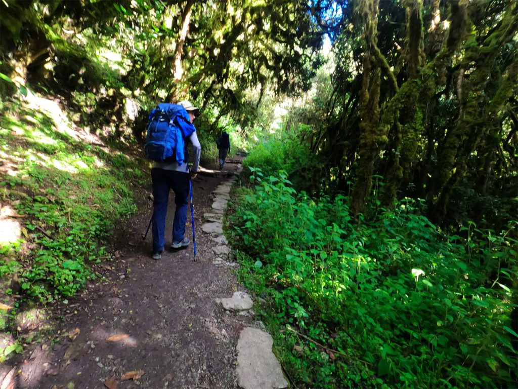 Inca Trail Packing List 2027: What to Bring, What We Provide and the Rules 1 Hiker with a large blue backpack and trekking poles walking a stone path through cloud forest on the Inca Trail