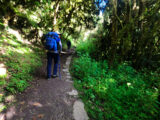 Clásico Camino Inca a Machu Picchu 4 Días/ 3 Noches