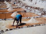 Maras Moray – Medio Día