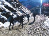 Salkantay Trek Domo a Domo a Machu Picchu 5D / 4N