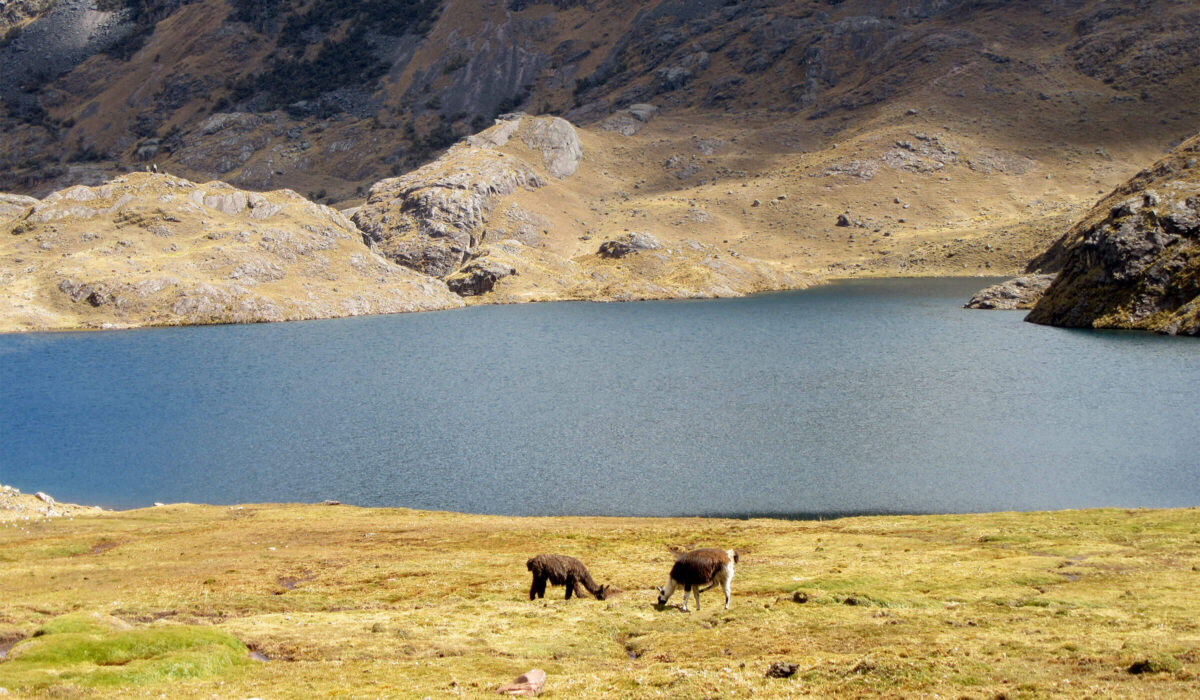 Caminata al Lares 3 Días / 2 Noches