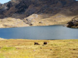 Caminata al Lares 3 Días / 2 Noches