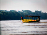Puerto Maldonado-Tambopata-Collpa de Guacamayos 5D/4N