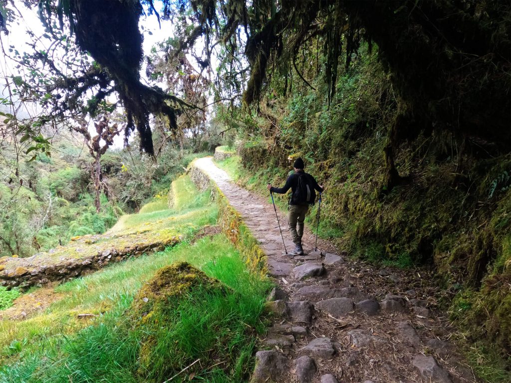 Inca Trail vs Kilimanjaro: Which Is Harder? The Numbers Side by Side 2 Hiker walking an original Inca stone path through cloud forest on the Classic Inca Trail