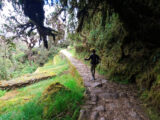 Clásico Camino Inca a Machu Picchu 4 Días/ 3 Noches