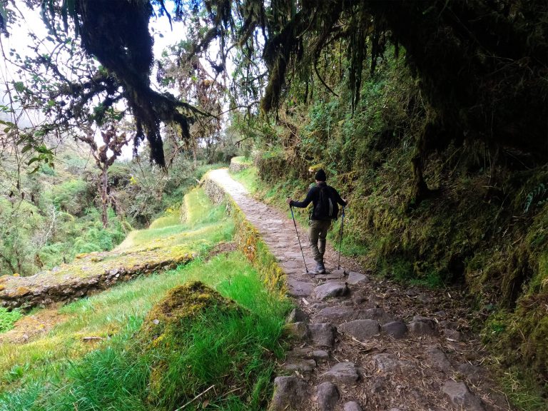 Hiker with trekking poles on an original Inca stone path through the cloud forest