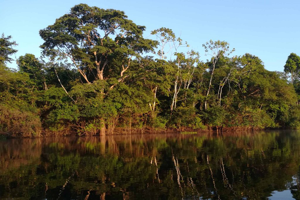 Pacaya Samiria National Reserve 4 Days / 3 Nights