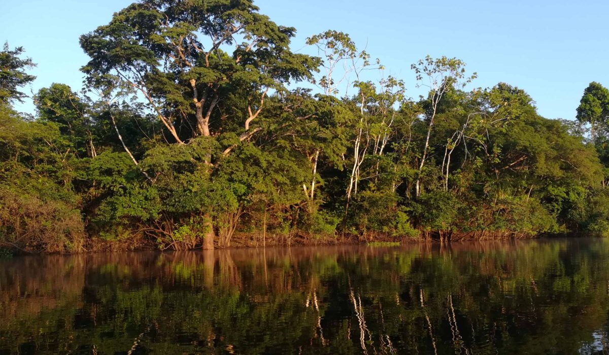 Reserva Natural Pacaya Samiria 6D/5N