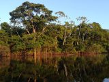 Reserva Natural Pacaya Samiria 6D/5N