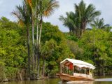 Reserva Natural Pacaya Samiria 6D/5N