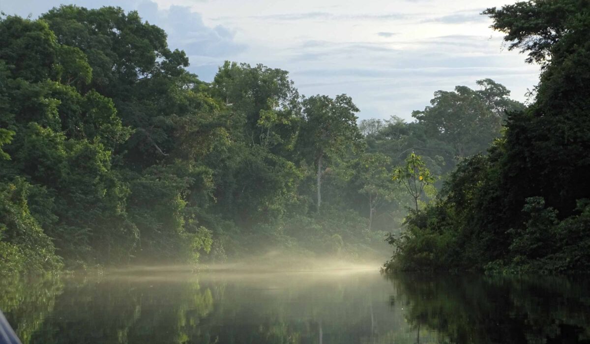 Reserva Natural Pacaya Samiria 6D/5N
