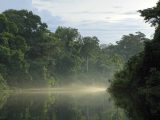 Reserva Natural Pacaya Samiria 6D/5N
