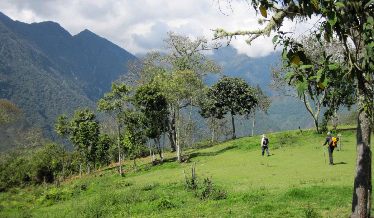 Salkantay Trek 4 Days en Domos ( servicio exclusivo)