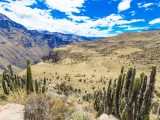 Colca Canyon 4D/3N