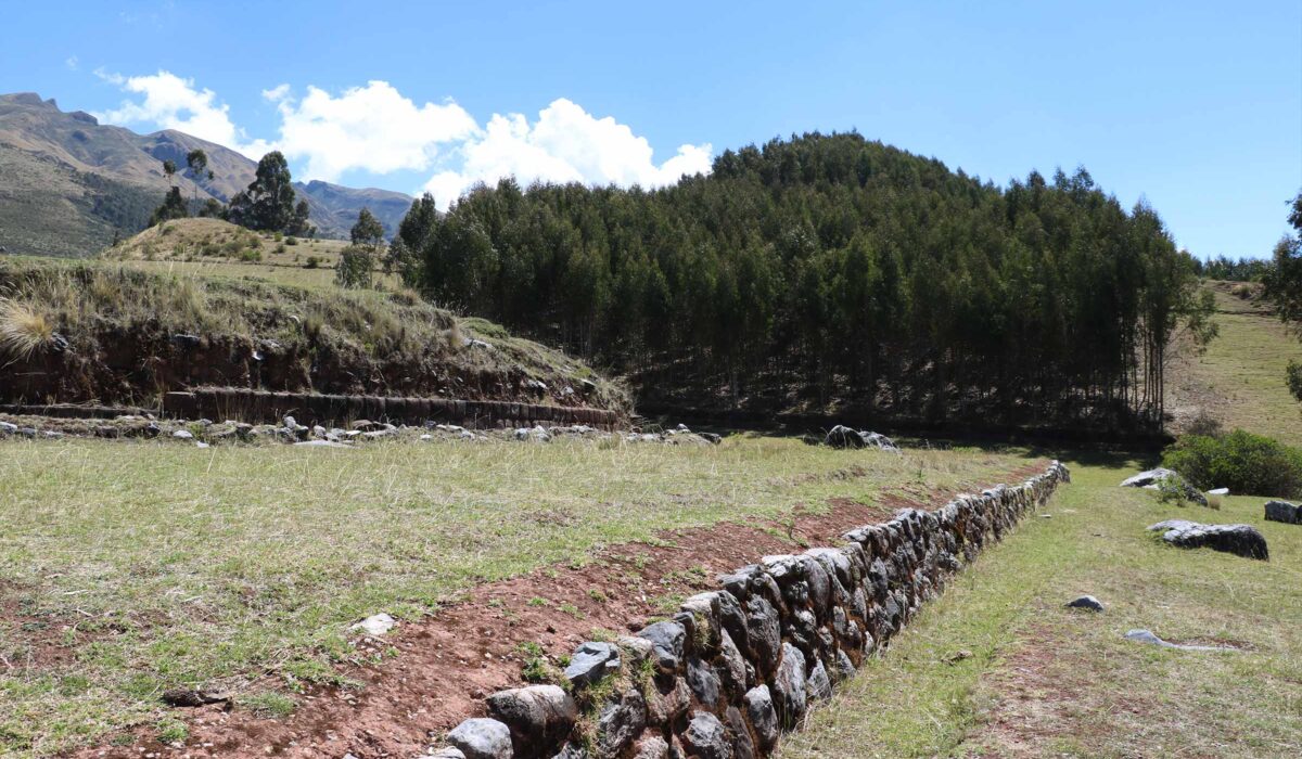 Vuelo del Cóndor Cañón Cusco Apurímac Día Completo