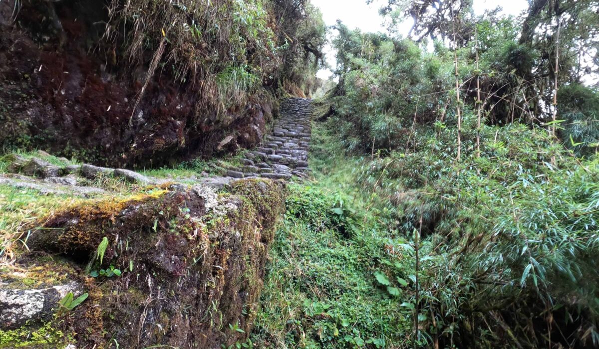 Camino Inca a Machu Picchu 5 Días/ 4 Noches