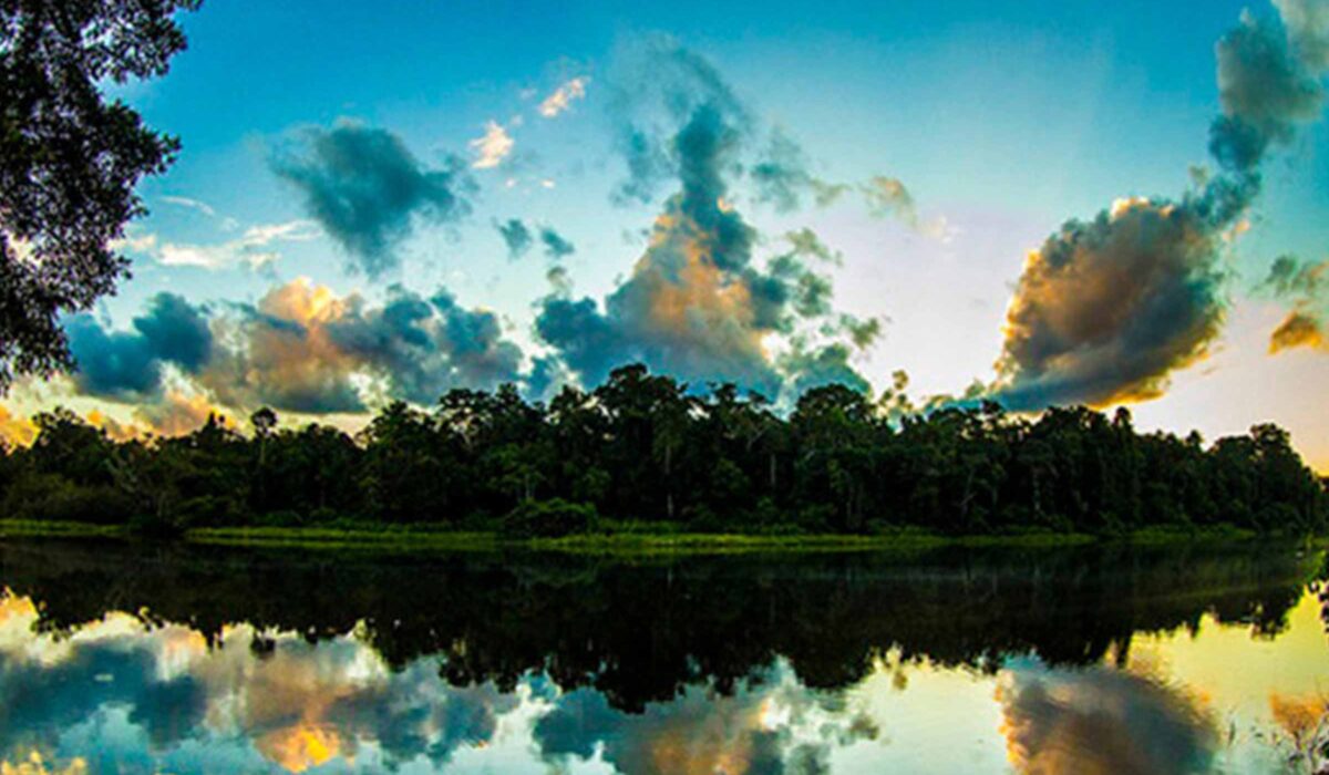 Tour a la Selva del Manu  4 Días/ 3 Noches