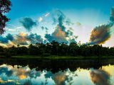 Tour a la Selva del Manu  4 Días/ 3 Noches