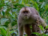 Expedicion a la selva del Manu 5 Días / 4 Noches