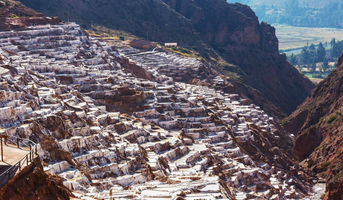 Llama Trekking Maras Moray 1 Day