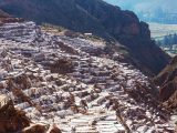 Llama Trekking Maras Moray 1 Day