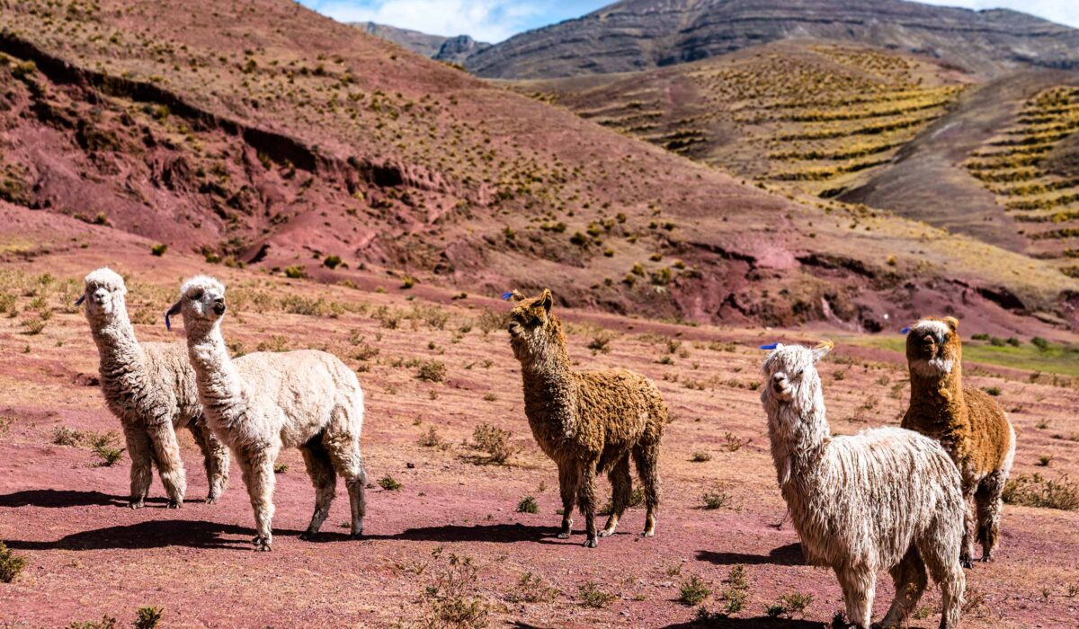 Montaña de 7 Colores