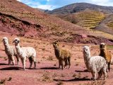 Montaña de 7 Colores