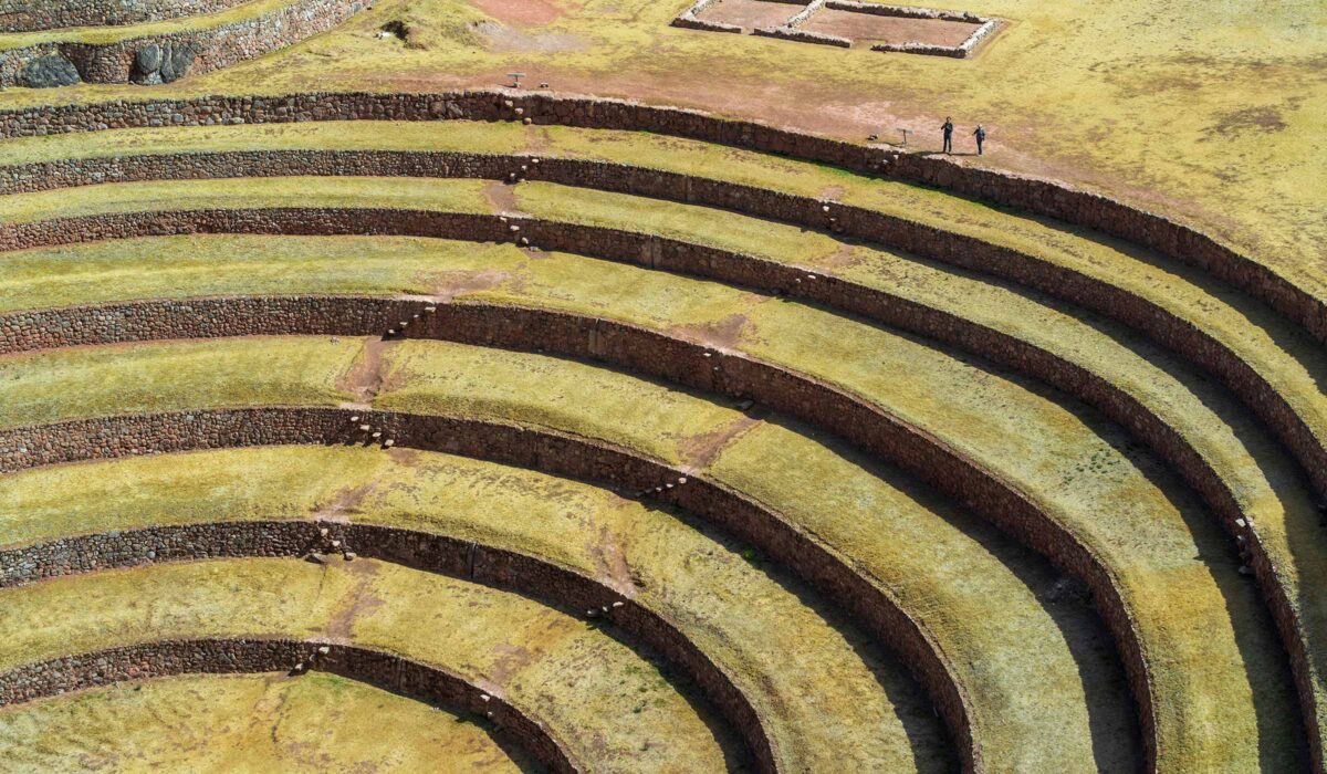 Llama Trekking Maras Moray 1 Day