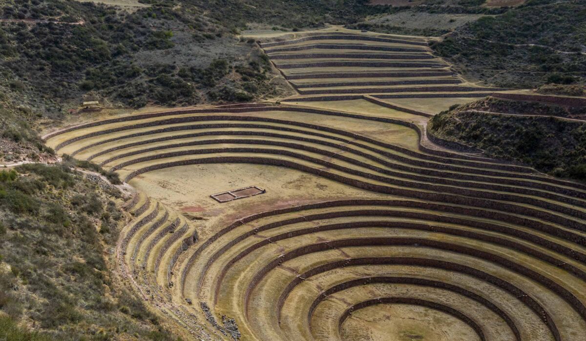 Llama Trekking Maras Moray 1 Day