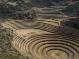 Llama Trekking Maras Moray 1 Day