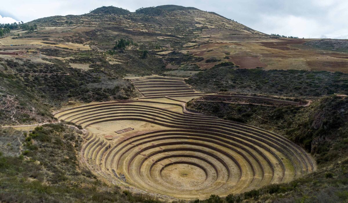 Llama Trekking Maras Moray 1 Day