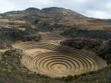 Llama Trekking Maras Moray 1 Day