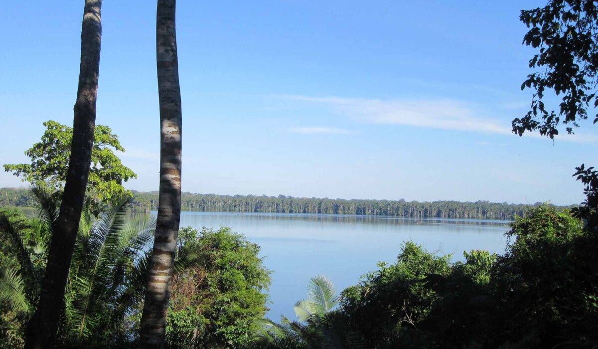 Puerto Maldonado-Tambopata-Collpa de Guacamayos 5D/4N