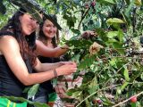 Challenge Salkantay To Machu Picchu 3 Days / 2 Nights