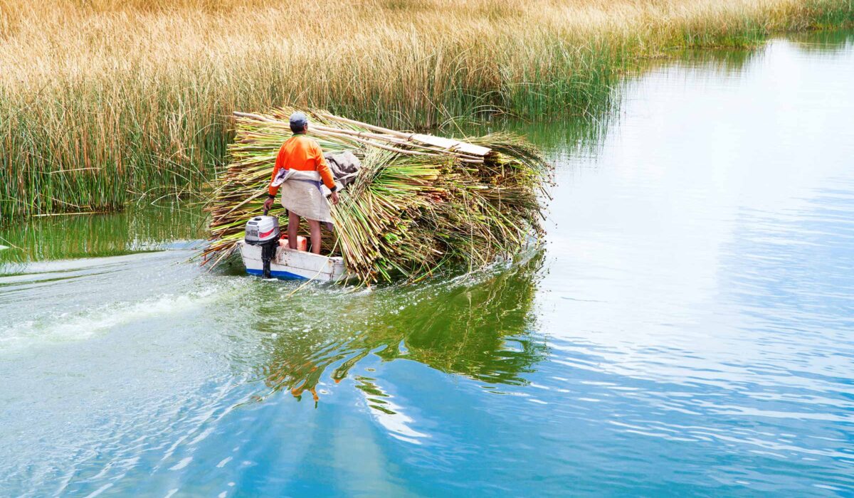 Lima-Cusco-Urubamba- Camino inca corto – Machu Picchu-Lago Titicaca 10 Días / 9 Noches