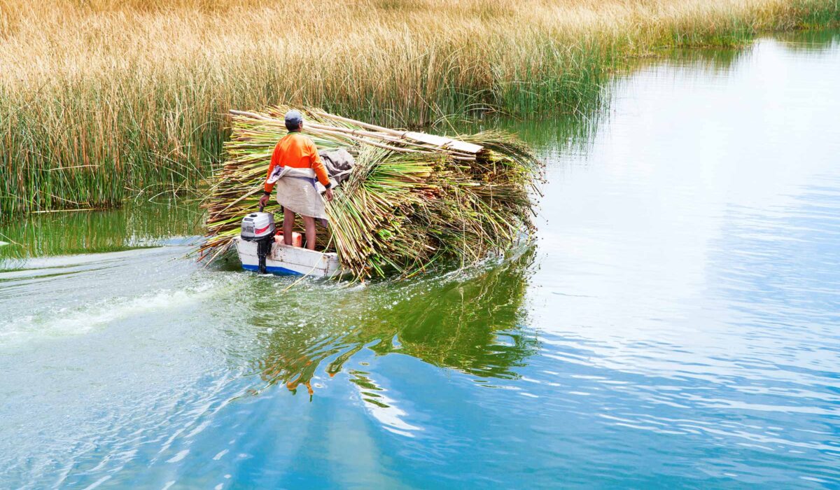 Lago Titicaca Tours 2D/1N