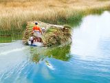 Lima-Cusco-Urubamba- Camino inca corto – Machu Picchu-Lago Titicaca 10 Días / 9 Noches