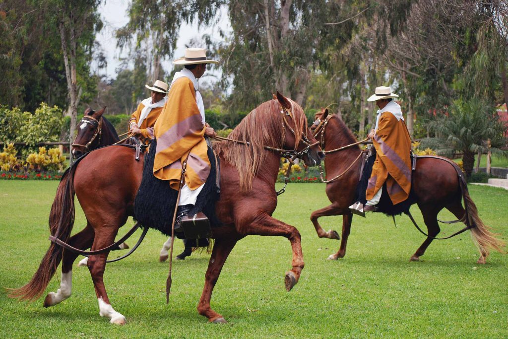 Tour Lima, Caballo de Paso + Cena Show