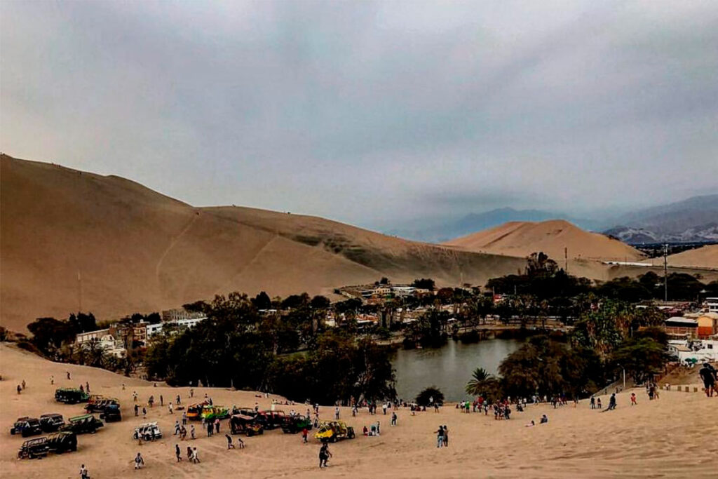 Paracas Tour + Buggies in Huacachina 1 Day – 2