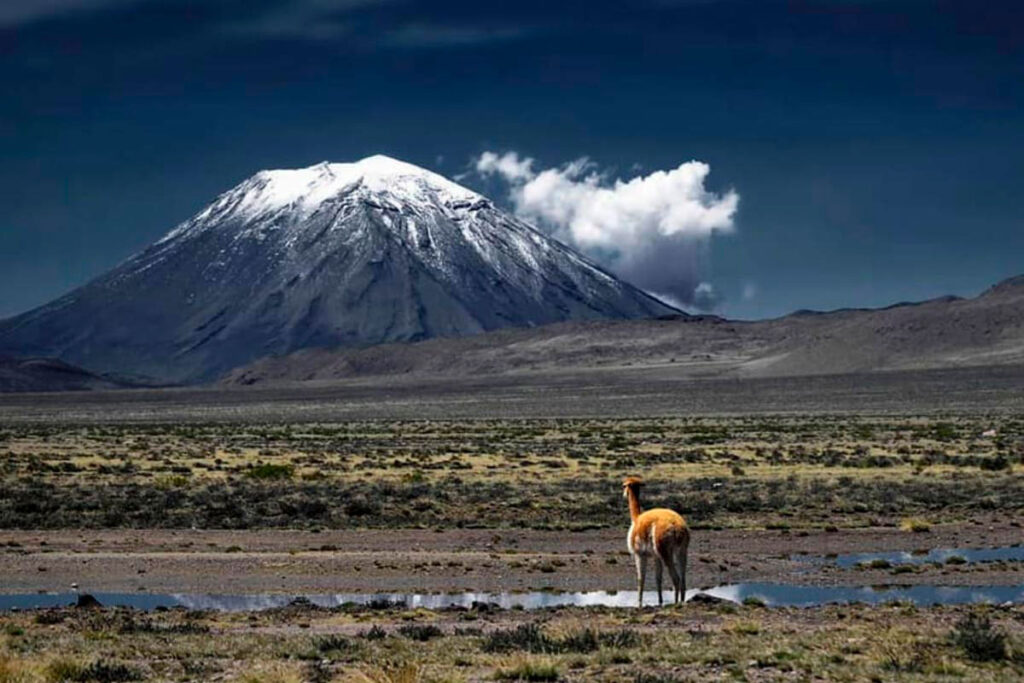 Salinas Aguada Blanca Tour 1 Day – 2