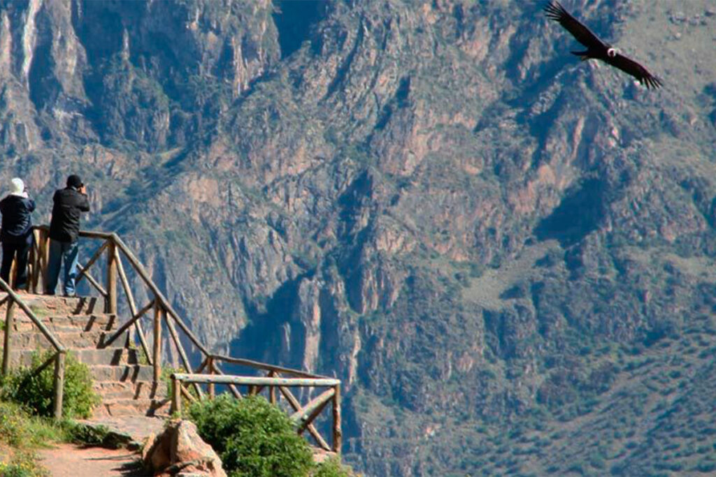 Colca Canyon Tour Traditional 1 Day – 1